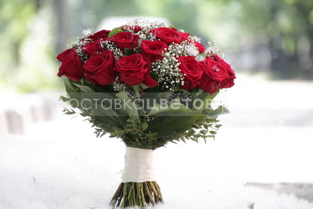 Букет из 25 красных роз с гипсофилой "Белла"